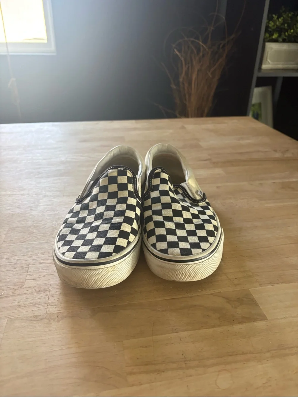 Vans slip on shoes